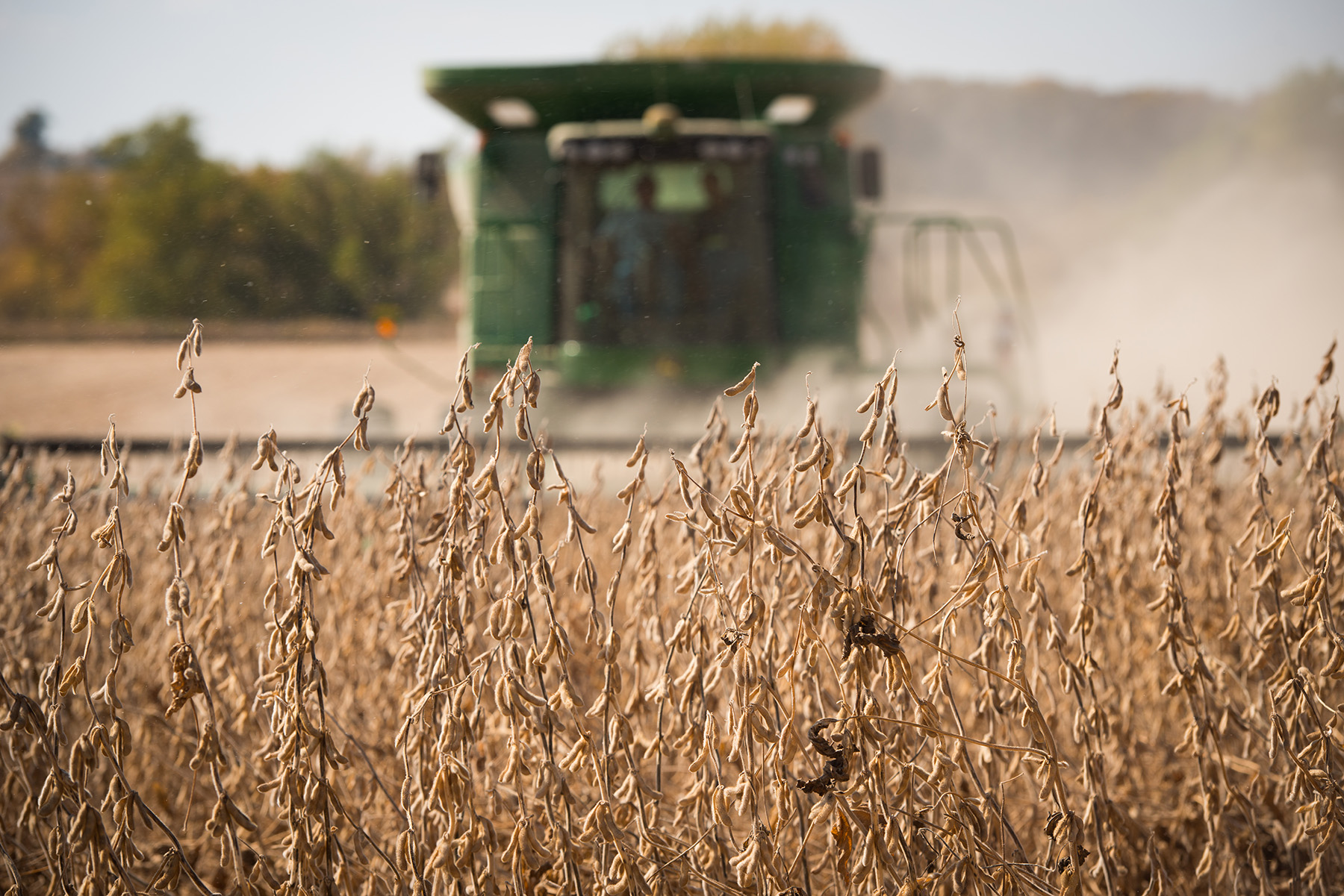 Iowa’s average soybean yield in 2021 highest on record